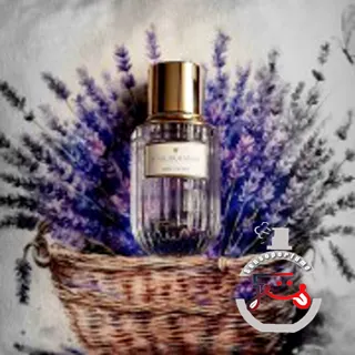 Sensuous Stars Estée Lauder