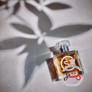 Edge Effects St. Clair Scents
