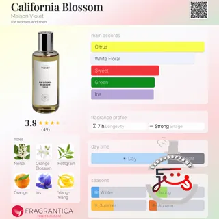 California Blossom Maison Violet