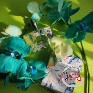 Fleur de Citronnier Fragonard