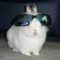 retinatelevision