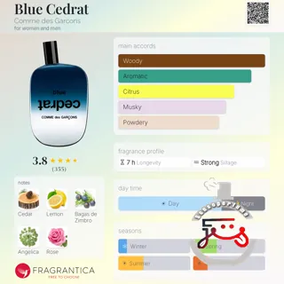 Blue Cedrat Comme des Garcons