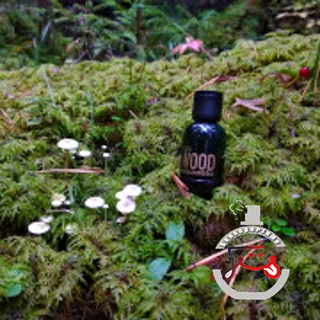Green Wood DSQUARED²