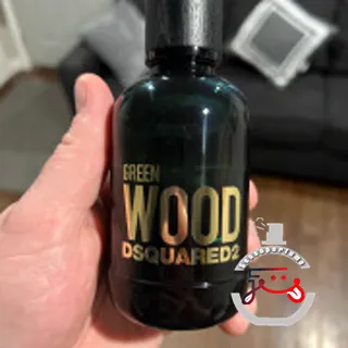 Green Wood DSQUARED²