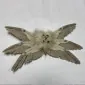 kalpaimperial