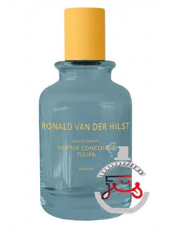 هورتوس کونکلوسوس تولیپا رونالد فان در هیلست | hortus conclusus tulipa ronald van der hilst