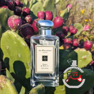 Poppy & Barley Jo Malone London