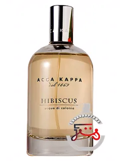هیبیسکوس آکا کاپا | hibiscus acca kappa
