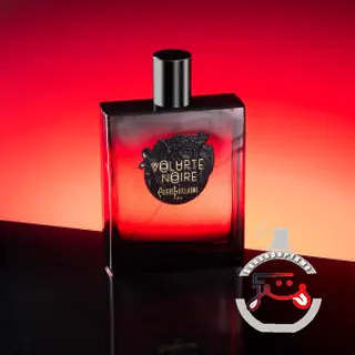 Volupté Noire Pierre Guillaume Paris