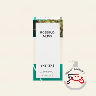 Rosebud Moss Anconu