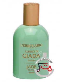 جید پلنت لربولاریو | jade plant l'erbolario