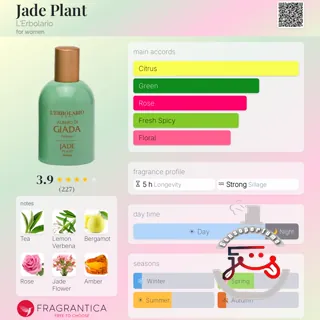 Jade Plant L'Erbolario