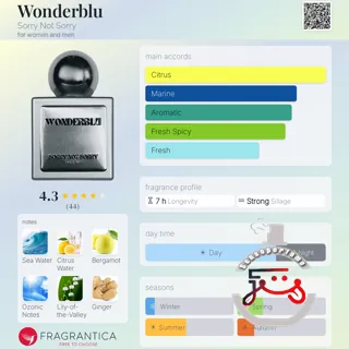 Wonderblu Sorry Not Sorry