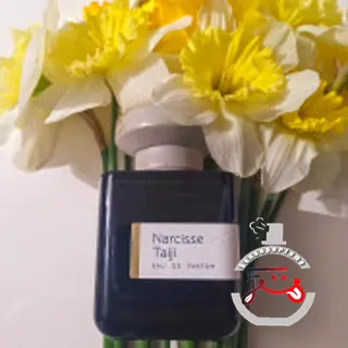 Narcisse Taiji Atelier Materi