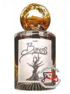 برنیس هیون‌هالو | burniss havenhollow