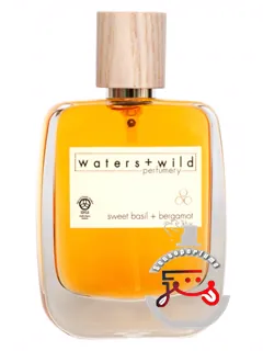 سویت بزیل پلاس برگاموت واترز پلاس وایلد پرفیومری | sweet basil + bergamot waters + wild perfumery