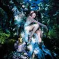 fairymeist
