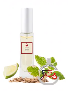 این‌وین‌سیبل اف‌ال پرفیم | invincible fl parfums