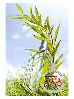 وربنا سان لکسیتان آن پروانس | verbena sun l'occitane en provence