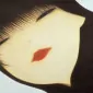 mijakoch