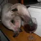 onepunchlee