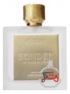 زندر الیزین | sonder elysian
