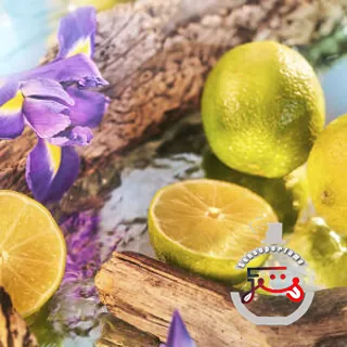 Oceania Parfum Roja Dove