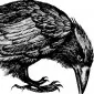 corvid_charm