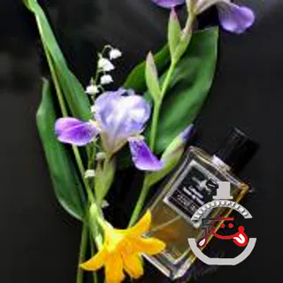 Cedrè Iris Affinessence