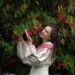 سیم‌لای سی و سه