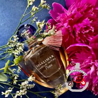 Guerlain Shalimar Parfum Initial L'Eau Guerlain