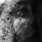 Gosha