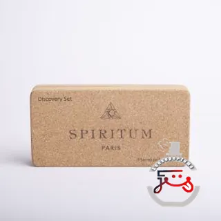 5 The Guardian Master Spiritum