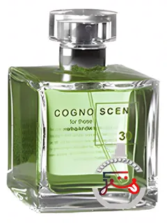 نمبر سی هی اینسنس کاگنوسنتی | no 30 hay incense cognoscenti