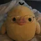viannesvs