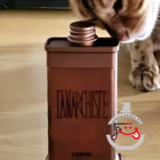 L'Anarchiste Caron