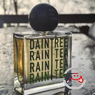 Daintree Rain Tea The Raconteur