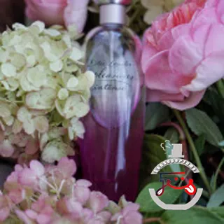 Pleasures Intense Estée Lauder