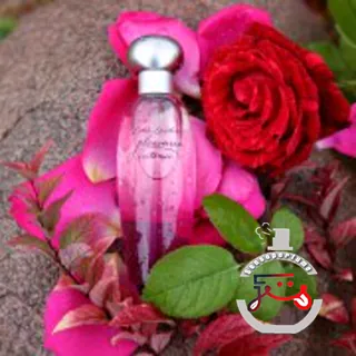 Pleasures Intense Estée Lauder
