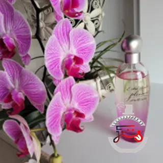 Pleasures Intense Estée Lauder