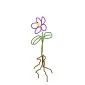Perennials Guy