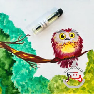 Owl Совушка-сова Ladanika