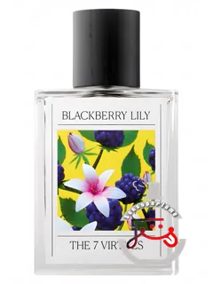 بلک‌بری لیلی د سون ورچوز | blackberry lily the 7 virtues