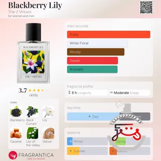 Blackberry Lily The 7 Virtues