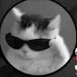 Im_only_lurking