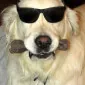 کارلوس آلبرتو آندراده کروز