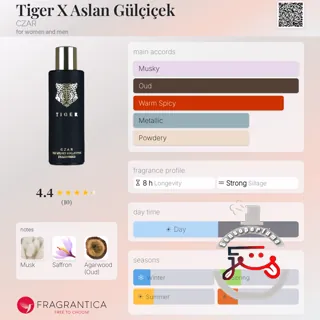 Tiger X Aslan Gülçiçek CZAR