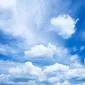 skyward