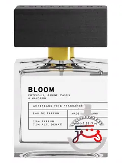 بلوم آمپرزند | bloom ampersand