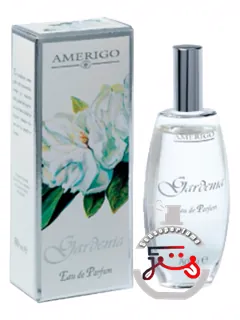 گاردنیا آمریگو | gardenia amerigo